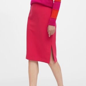 Banana Republic Pink Women's Skirt 10T